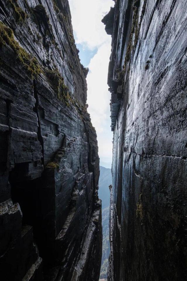 桃源深处、武陵主峰，梵净山何以跻身世界遗产？