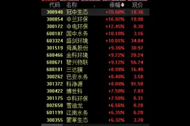利好政策持续加码，环保板块热度不减，细分领域投资机会显现图片