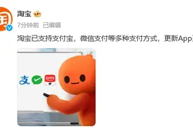 淘宝官宣购物可用微信支付图片