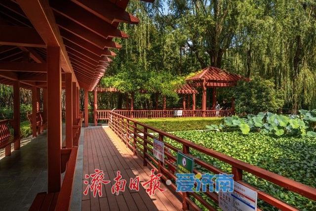 一年四季 泉在济南丨花圃公园：秋日胜景，诗意满园
