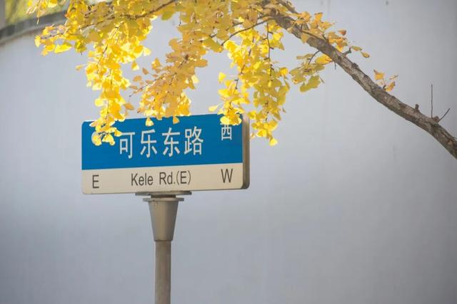 长宁最全银杏打卡点来啦，还有“宁宁”的私藏点位哦～【看“宁”的】