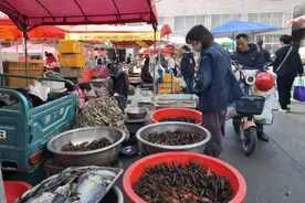 鲜活小龙虾“游”上餐桌，你尝鲜了吗？图片