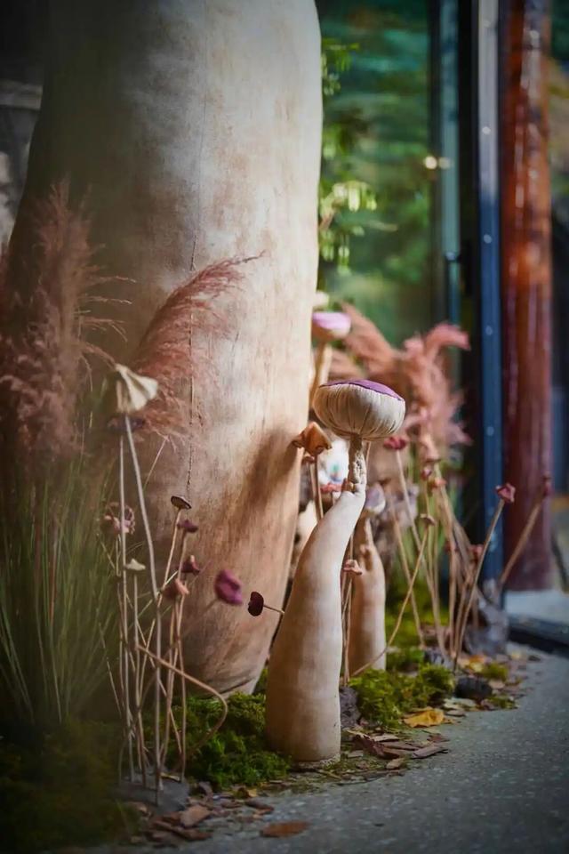 来东城这个胡同小院，邂逅蘑菇精灵的童话秘境——