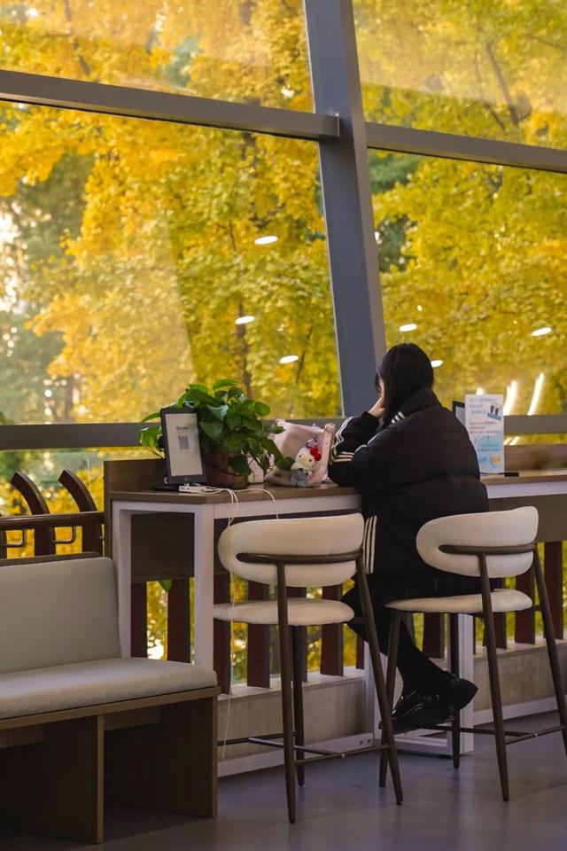 “美神”降临！太仓限定秋日美景，真的“杀”疯了！