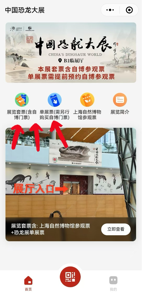1.6亿年前的老朋友，邀你共赴侏罗纪雨夜