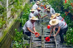 深读｜全国最老龙舟背后，大沥“三河”传承了什么？图片