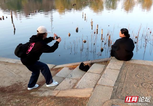 当冬日金光洒满年嘉湖，便是长沙最动人的模样
