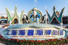 海昌海洋公园：上半年收入同比增6.82%，旗下公园入园人次增长21.2%图片