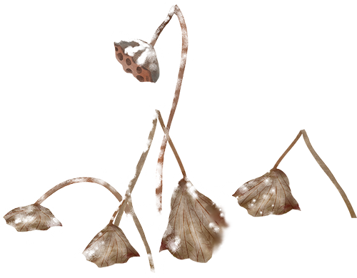 东湖冬日必打卡！观「雪」景、赏秋色、追落日！