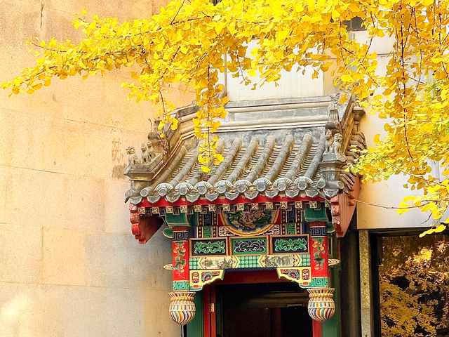 一窗京秋入画来！首都宾馆的银杏美景太好拍了