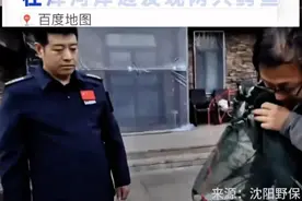 河边发现两条鳄鱼！辽宁一地紧急提醒图片