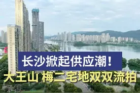 长沙掀起土地供应潮！大王山、梅二宅地双双流拍图片