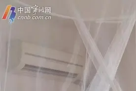宁波人“打交道”最多的是哪几种蚊子？专家教你防蚊图片