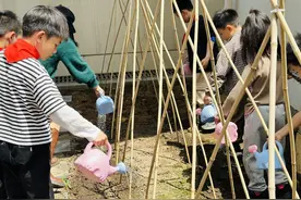 种上太空种子，这群小学生玩转校园空中农场图片