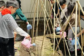 种上太空种子，这群小学生玩转校园空中农场图片