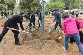 广东首个北回归线青年林公园揭幕图片