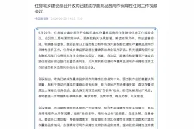 楼市去库存放大招！“收储”商品房用作保障房扩展至市县图片