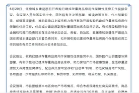 楼市去库存放大招！“收储”商品房用作保障房扩展至市县图片