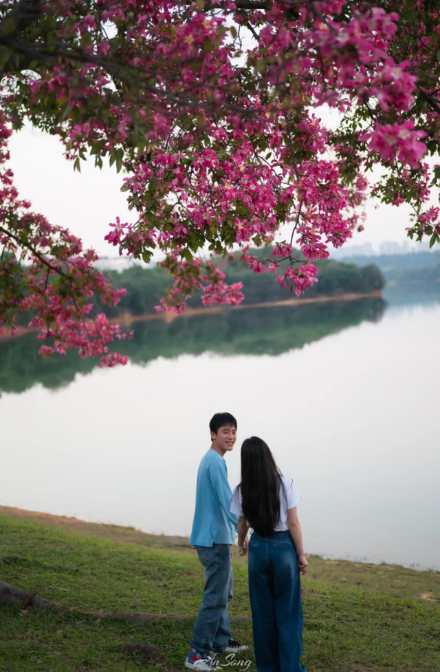 最美松湖 | 七夕来这里，谈一场“上镜”的恋爱