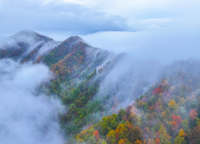 我在这里，等你→