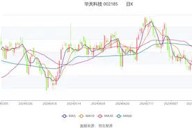 华天科技：2024年上半年净利润2.23亿元 同比增长254.23%图片