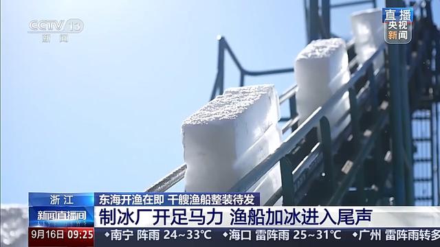 开渔后你最想吃哪种海鲜