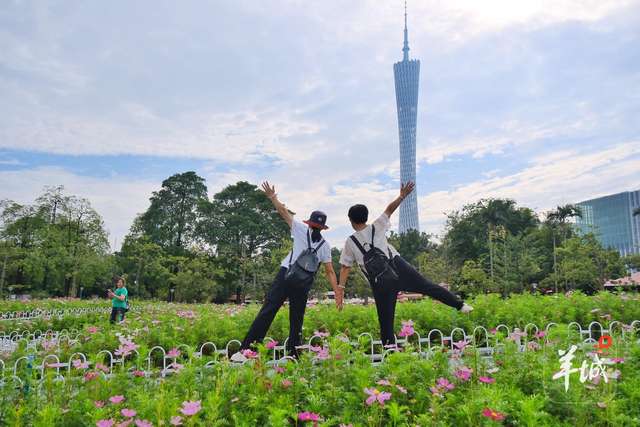 秋明拍花｜名副其实的“花城”：人在画中游，笑从花畔生