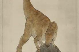 异特龙研究取得突破性进展：异特龙前肢能灵活捕捉猎物图片