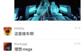 又见车内摄像头拍不雅照？理想汽车：移花接木，已报案图片