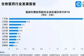 新兴产业聚“势”！看广东新质生产力的守与创图片