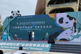 “大熊猫粉丝四川游”活动上线！十款旅游线路感受最具“川味”的城市烟火图片