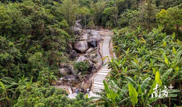 上新！“云上南清”步道直通山顶，研学民宿齐上线