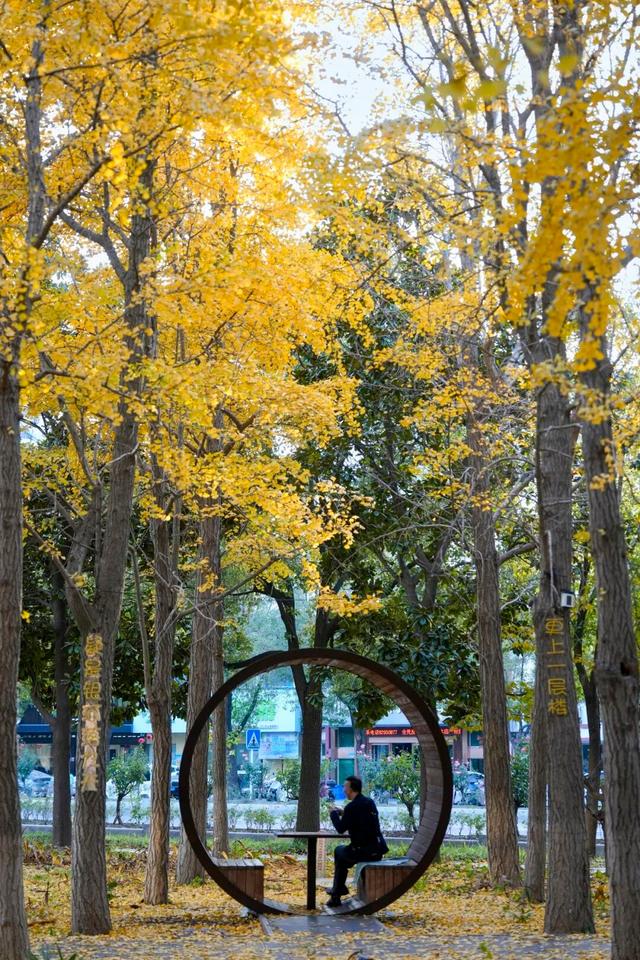 出片率100%！海陵“含金量”在上升！