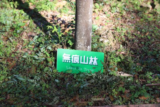 打卡自然，不留痕迹！湖南首个“无痕山林”课堂在大山冲森林公园开课