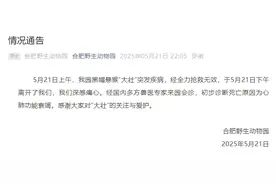 网红方脸猴“大壮”，突发疾病离世图片