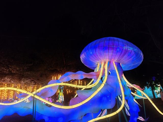 灯光一亮，秒变童话世界！2025年“青岛之夏”艺术灯会启幕成夏夜顶流