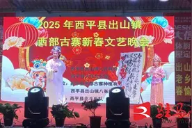 西平县出山镇：古寨闹新春图片