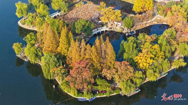 莫愁湖公园斑斓如画