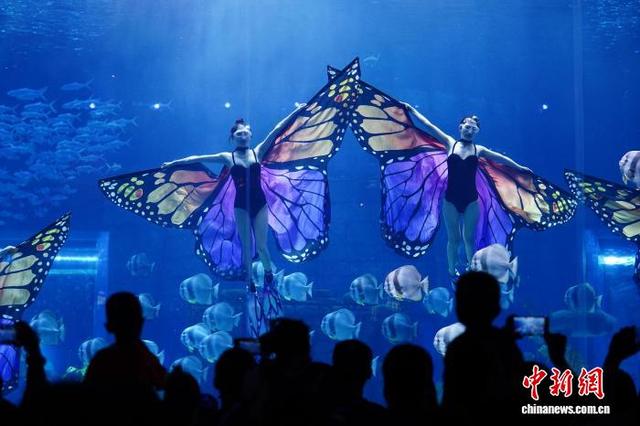 云南昆明：畅游海洋世界享快乐暑假