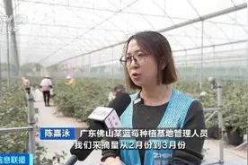 价格便宜近20%！很多人都爱吃，广东本地品种已上市图片