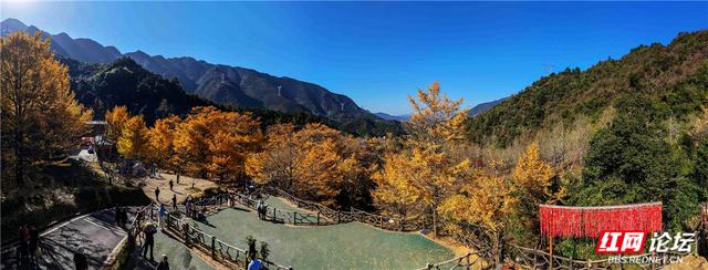 【每日一图@湖南】在永州桐子坳，我找到了最动人的浪漫