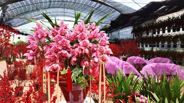 来闽侯，过福年！非遗、国潮……嗨玩不停！