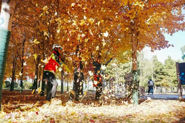 沈阳这些地方太美了!赏秋倒计时,错过等一年!