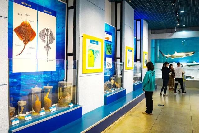 周末去哪儿？大连这八个馆里补给灵感~