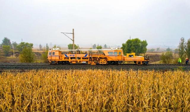 层林尽染时，他们用脚步丈量如画风光