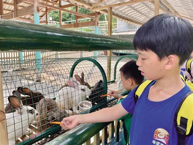 凤凰古城亲子旅游攻略