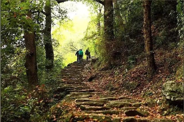 山水养神游！衢江邀您共赏山水风华