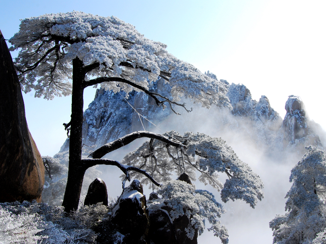 福利拉满！这些景区安徽老乡免票玩→