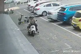 谁家的柯基跑丢啦？快来派出所认领！图片