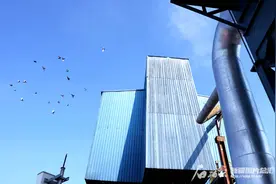 昔日粉尘石灰窑 如今群鸟来筑巢图片